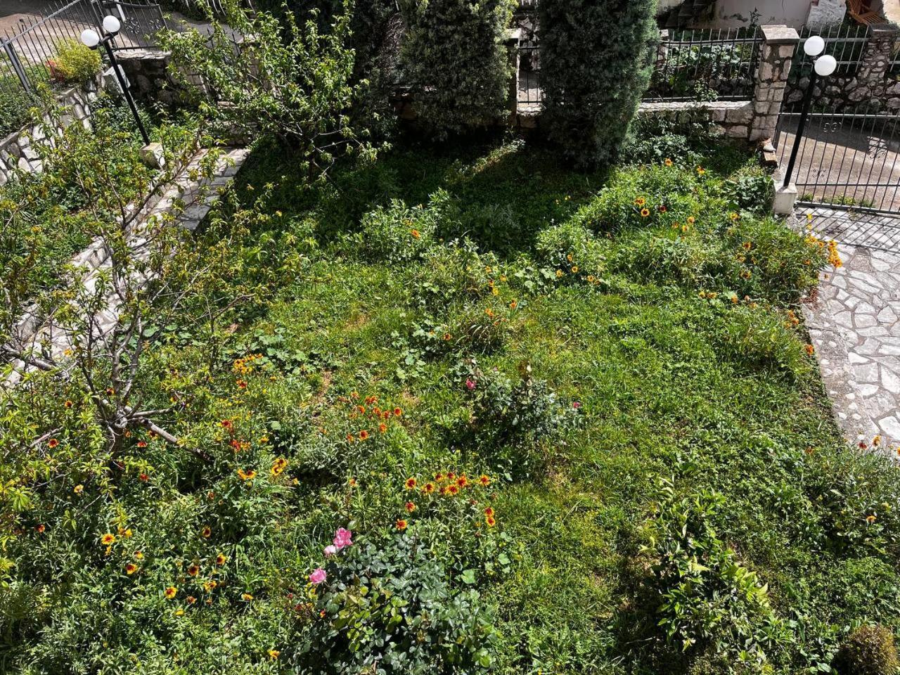 Apartments In Villa Viktoria Sutomore Zewnętrze zdjęcie