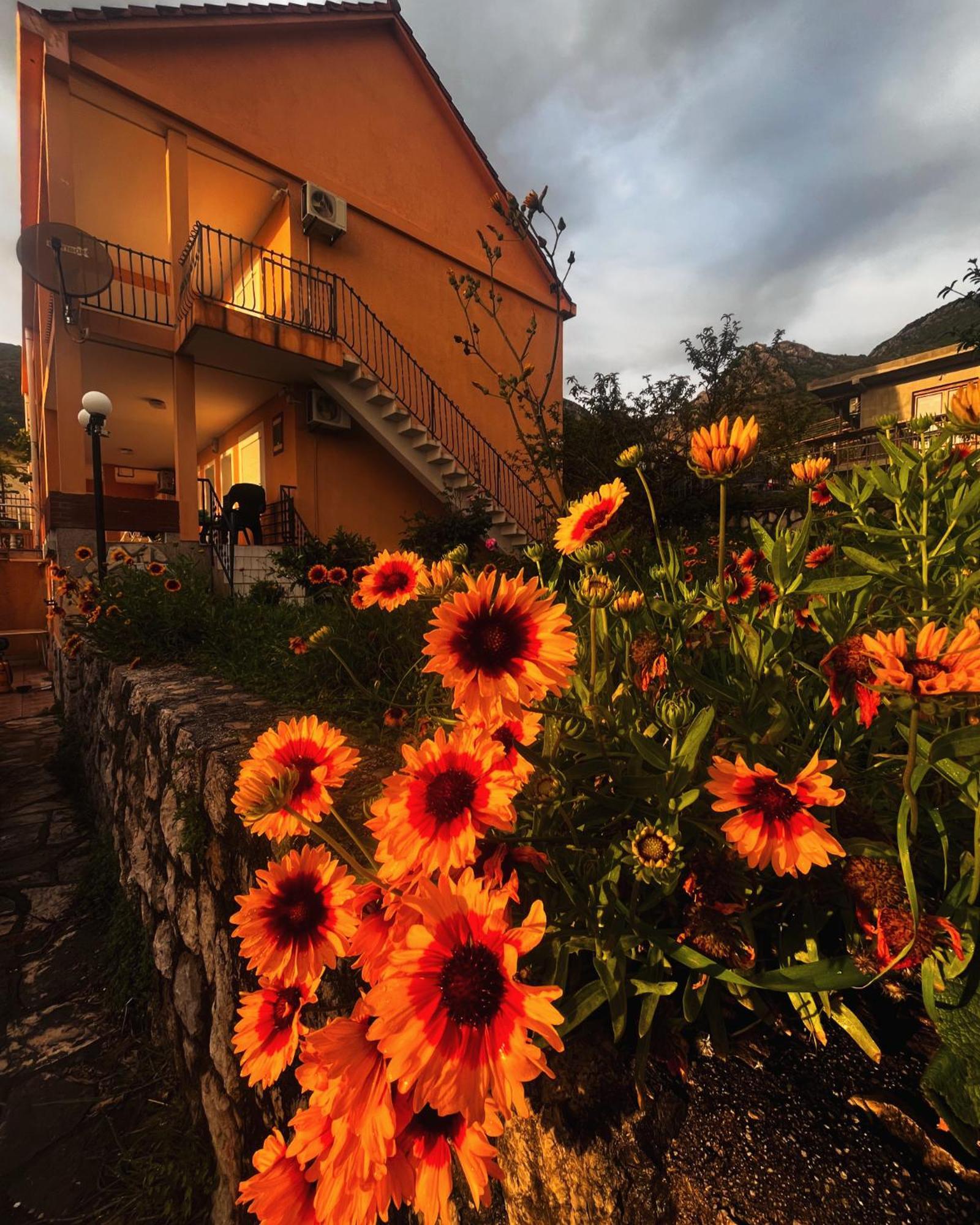 Apartments In Villa Viktoria Sutomore Zewnętrze zdjęcie